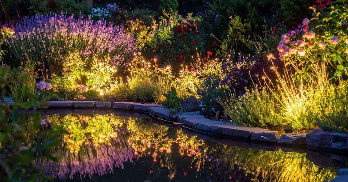 Een aangelegde vijver met stenen rand, omringd door weelderige bloemenperken.