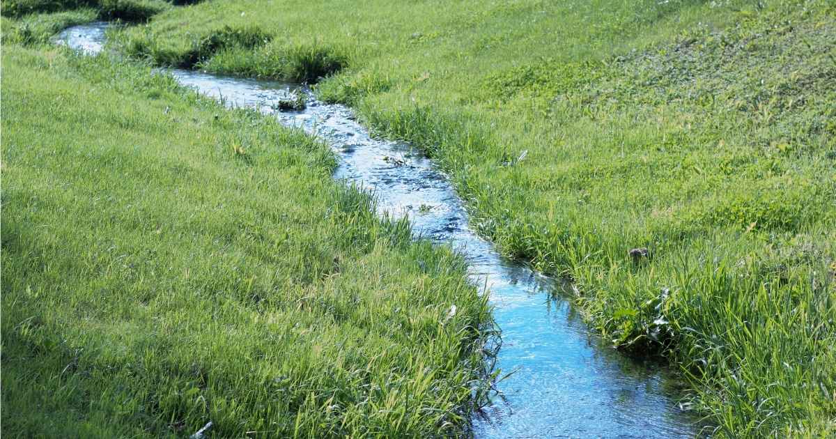 Een wadi, aangelegd op een grasveld, ter bevordering van het infiltreren van regenwater in de bodem.