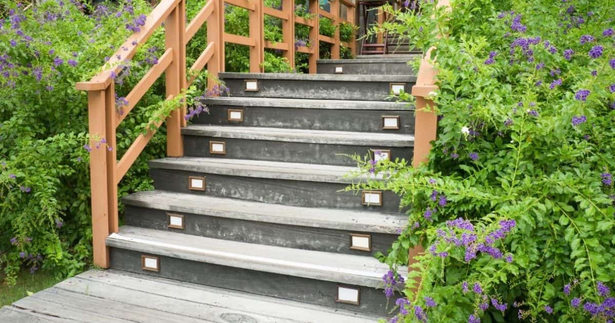 Betonnen trap met houten trapleuning die omringd wordt door struik met paarse bloemetjes. In elke trede zijn ook kleine spots geïntegreerd.