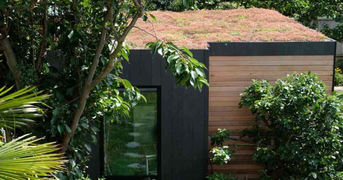 Modern tuinkantoor met extensief groendak van rood-groen kleurige mossen en vetplanten.