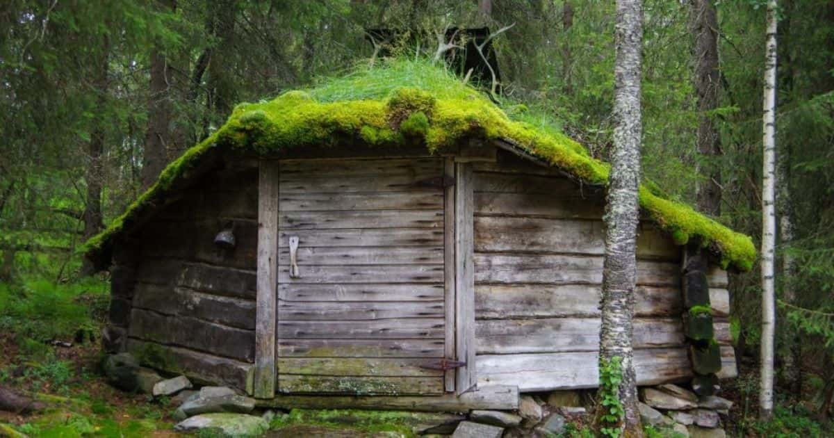 Een oude houten blokhut met een bijzonder groendak: een schilddak met wolfseinde.