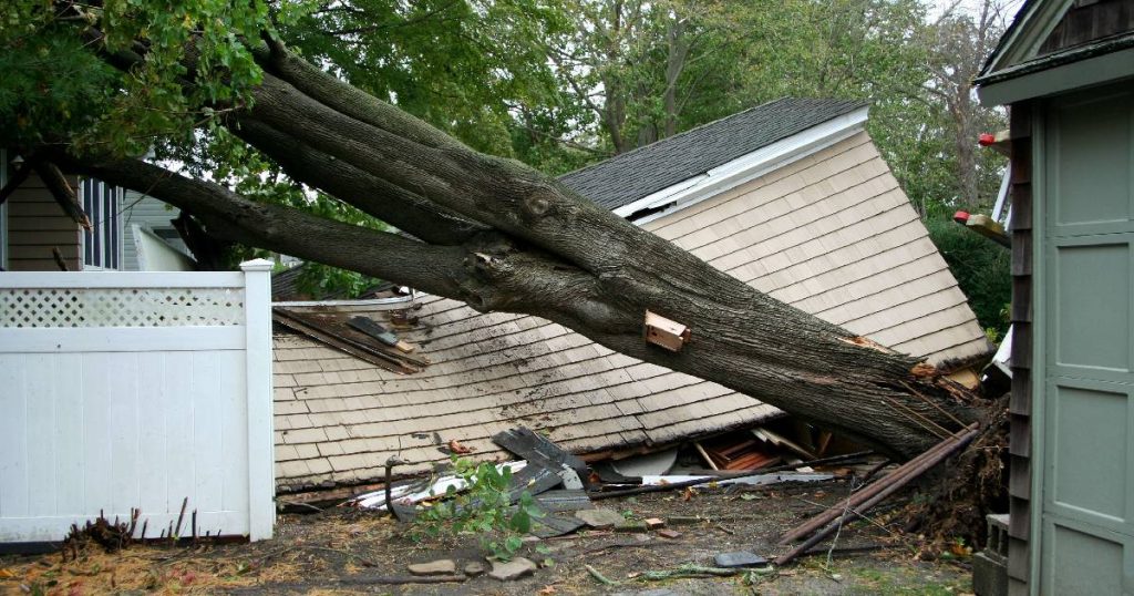 Een woning waarop een grote boom gevallen is.