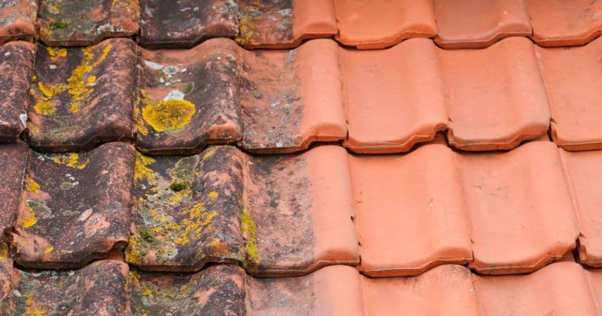 Een dak is voor de helft gereinigd. De linkerhelft zit vol met vuiligheid en mos, de rechter helft zijn schone dakpannen