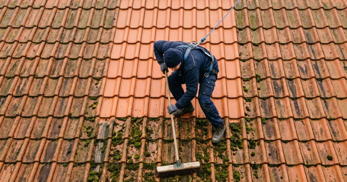 Een dakwerker in donkerblauwe werkkleding en veiligheidsharnas hurkt op een hellend pannendak en veegt groene mosresten van de oranje rode keramische pannen met een brede bezem, terwijl een blauw veiligheidstouw van zijn harnas naar de nok loopt en rondom hem het contrast zichtbaar is tussen schone terracotta pannen en met mos begroeide zones.
