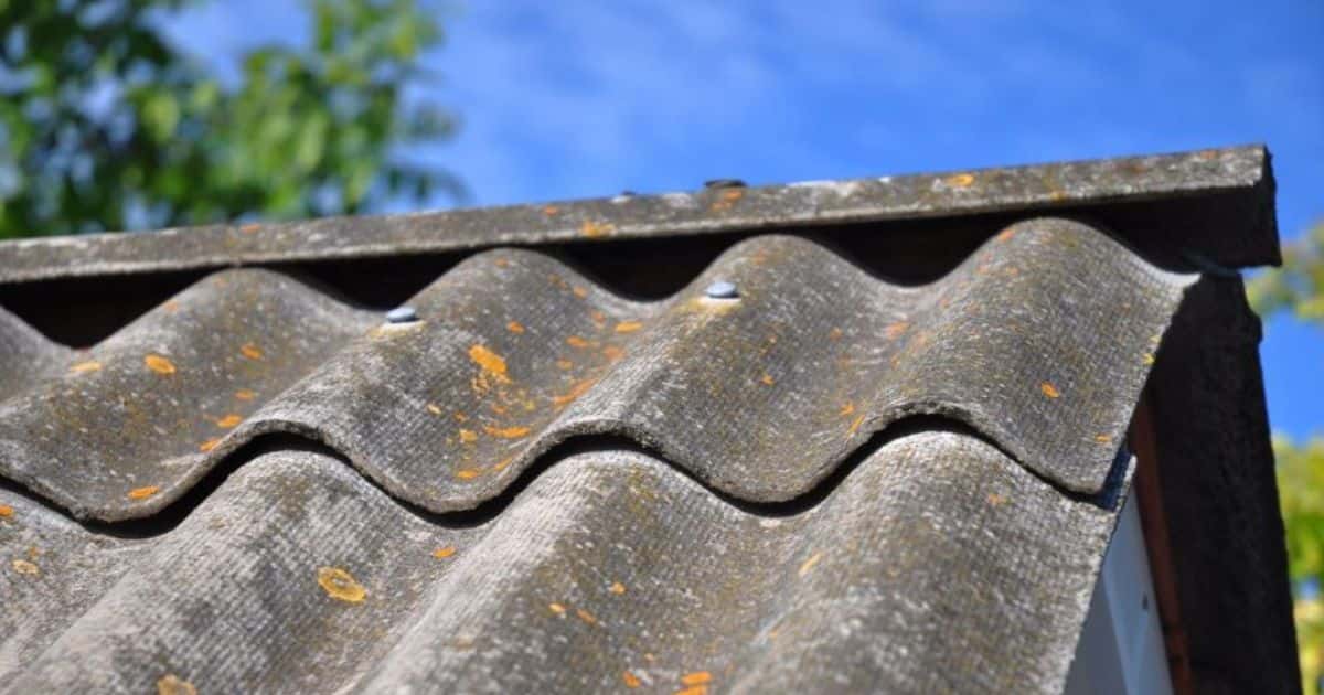 Close-up van een schuin dak met asbesthoudende golfplaten in een groene of bosrijke omgeving.