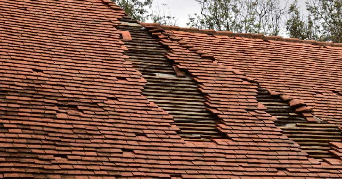 Een hellend dak met dakpannen waarvan veel pannen verschoven zijn: een veelvoorkomende oorzaak voor een daklekkage.