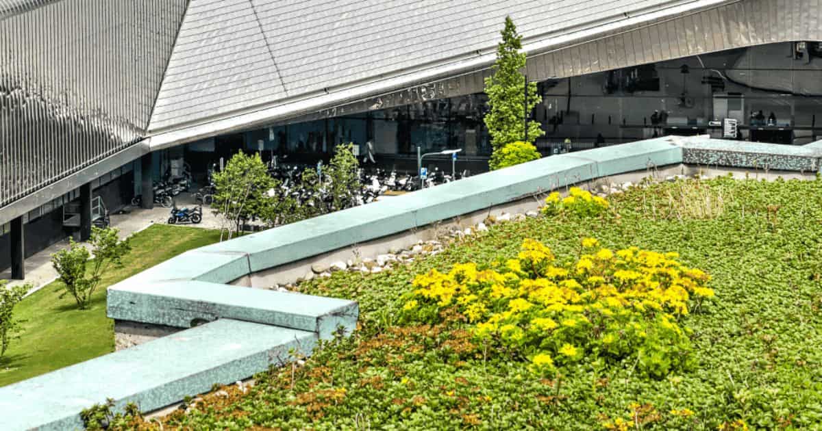 Wat is een extensief groendak? Het is een groendak dat bestaat uit lage grassen en groene bodembedekkers.