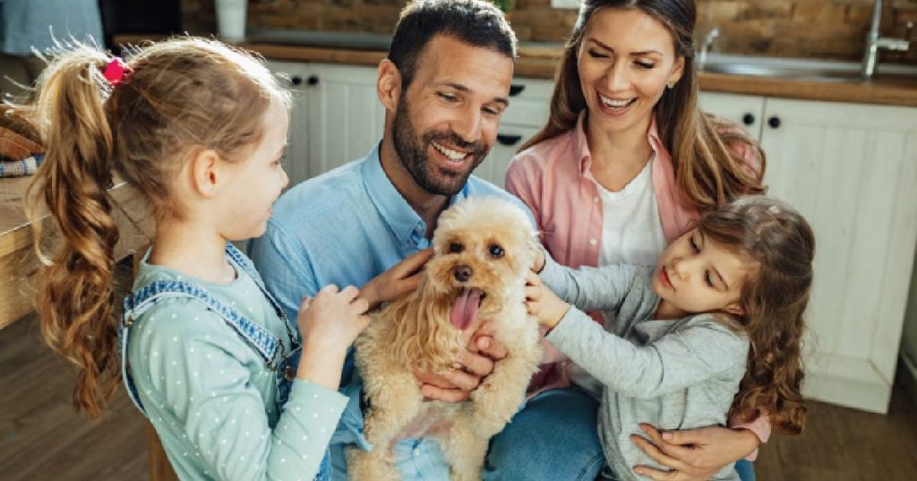 Een familie met een vader, moeder, 2 dochters en een hond - allemaal beschermd dankzij hun familiale verzekering.