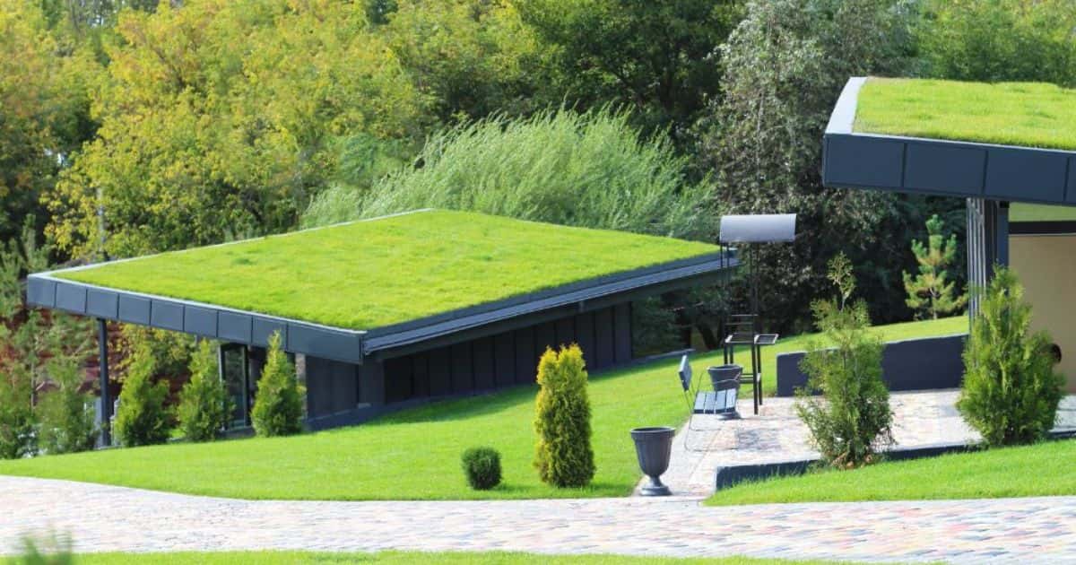 Groene daken in een bosrijke omgeving.