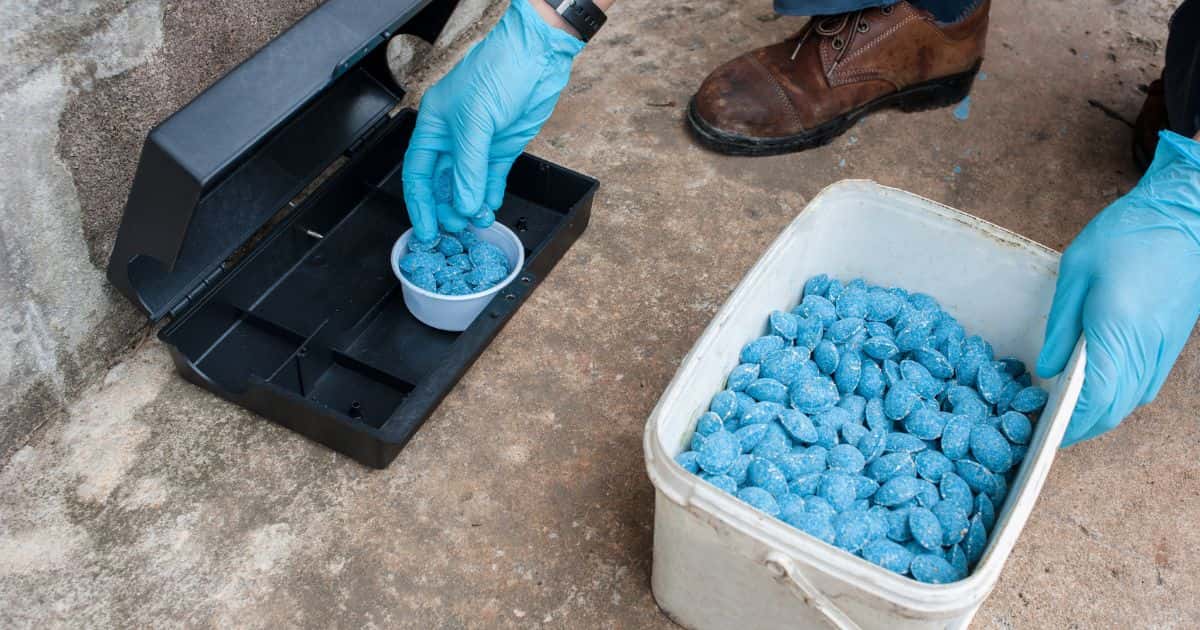 Een hand in blauwe handschoen legt blauwe korrels of tabletten in een wit potje in een openstaande zwarte doos. Ernaast staat een grotere, witte emmer met dezelfde blauwe korrels of tabletten.