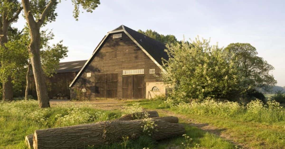 Houten schuur met wolfskap: karakteristiek voor de Hollandse schuur die dienst kan doen als opslagruimte of als stalling voor dieren. De schuur staat in een groene omgeving.