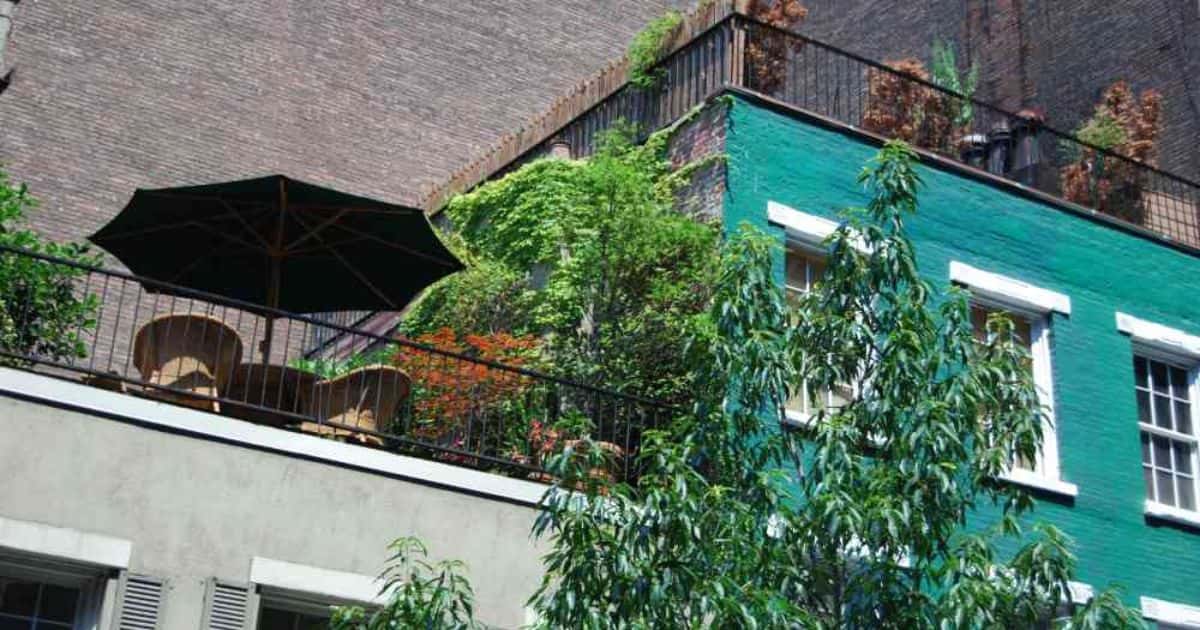 Groendak met terras, stoelen en een parasol, omringd door bomen en planten tegen een groene gevel.