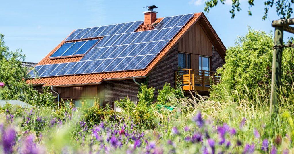 Zonnepanelen op een hellend dak met rode dakpannen. De omgeving van de woning is heel groen: bloemen, bomen en andere vormen van wilde begroeiing.