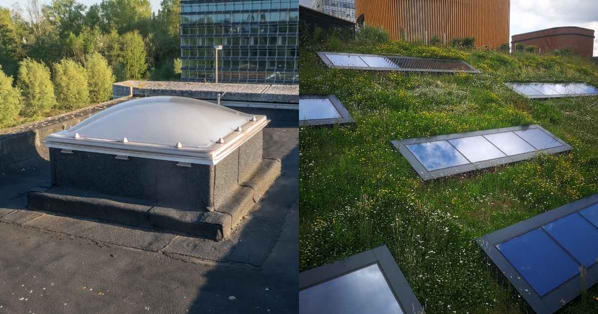 Links een plat dak bekleed met roofing en voorzien van een dakkoepel. Rechts een hellend groendak met verschillende lange lichtstraten.