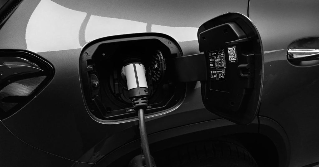 Close-up van een laadkabel in een grijze elektrische auto.