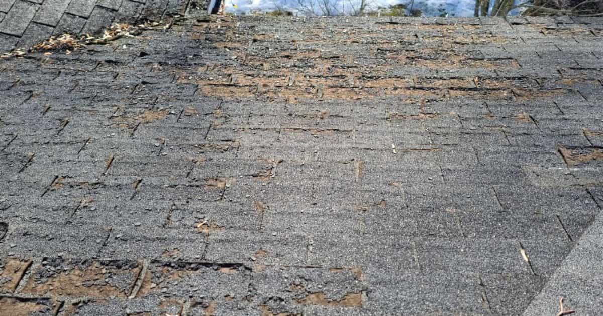 Een detailbeeld van mosvorming op donkergrijze dakshingles.