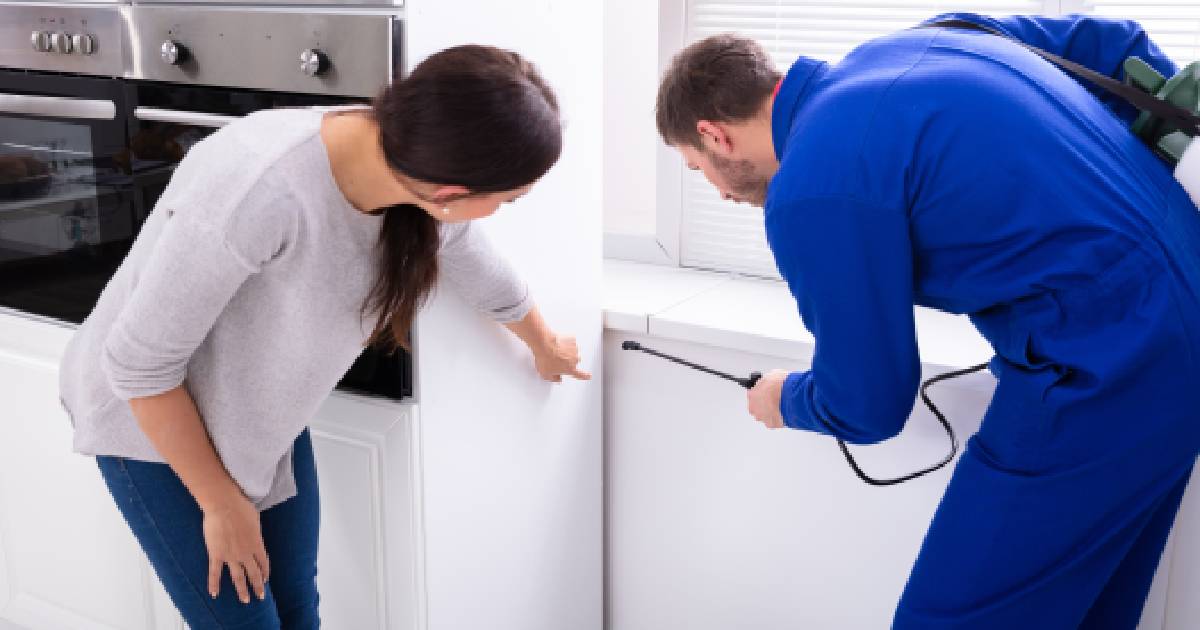 Een specialist in ongediertebestrijding laat zich door de bewoonster van de woning de locatie van een ongedierteplaag aanwijzen. Hij heeft een blauwe overall aan en gebruikt een sproeier om het professionele bestrijdingsmiddel aan te brengen.