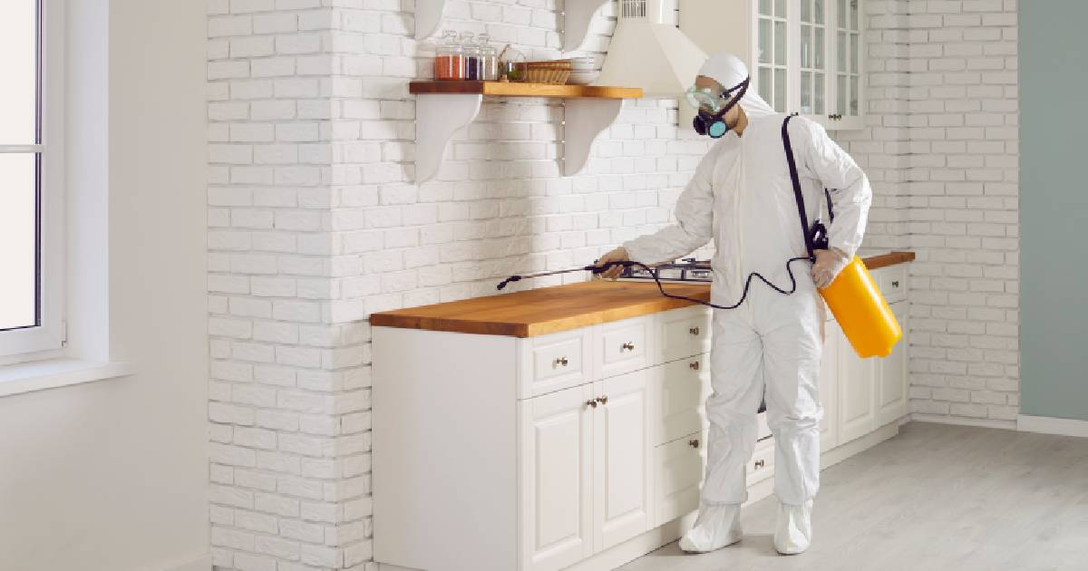 Een expert in ongediertebestrijding gebruikt professionele producten om ongedierte te verdelgen in een wit betegelde keuken met houten vloer en houten aanrechtblokken. Hij draagt een wit veiligheidspak, een veiligheidsbril en een masker.