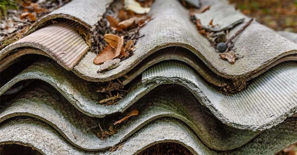 Een stapel golfplaten die asbest bevatten liggen op de grond en worden bedekt door gevallen bladeren van de bomen.