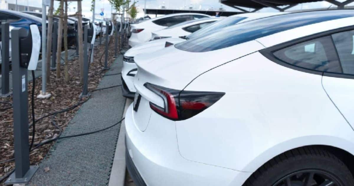 Witte elektrische wagens op een rijtje op een parkeerterrein, aangesloten aan een van de verschillende soorten publieke laadpalen.