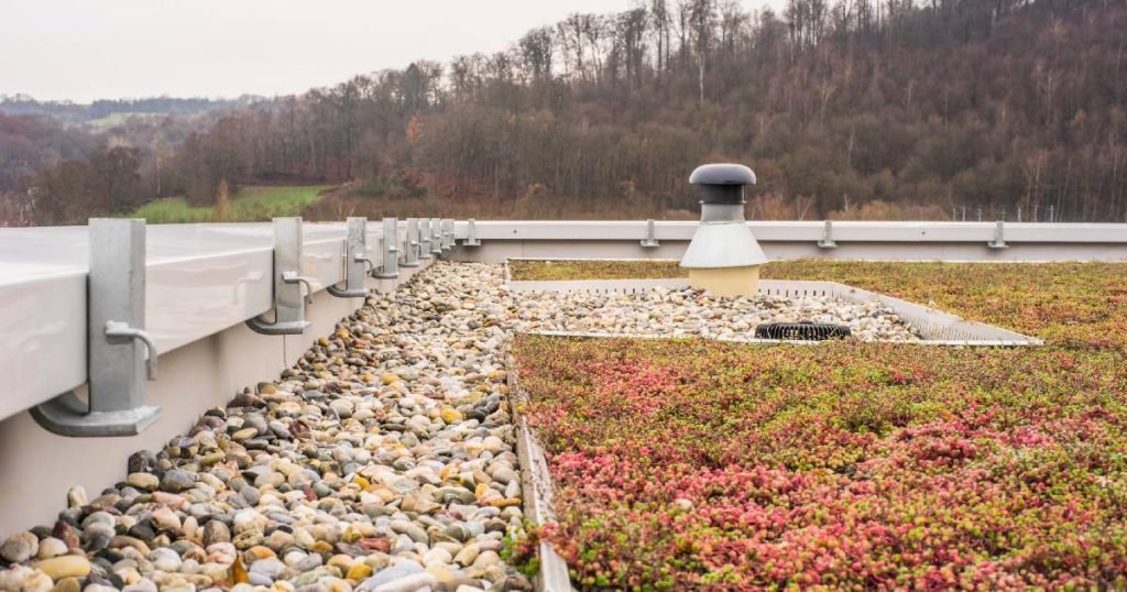 Een groendak op het plat dak van een huis. Langs de randen van het dak werden kiezels gelegd om de waterafvoer te bevorderen.
