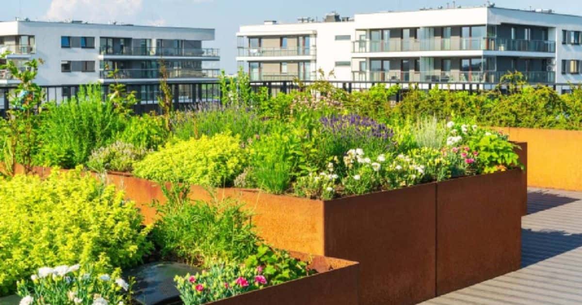 Een huis of appartement met een plat dak met dakterras. Op het dakterras staan roestkleurige plantenbakken met allerlei soorten begroeiing. Het dakterras heeft een houten vloer en heeft een onbelemmerd uitzicht op  de omliggende moderne appartementsgebouwen.