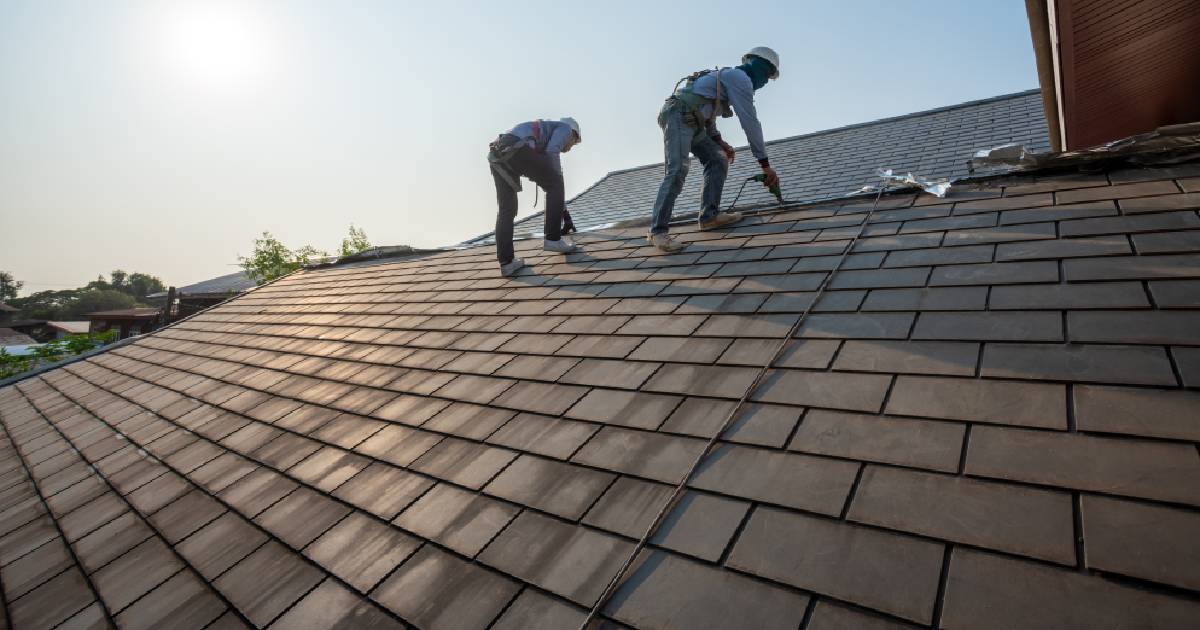 Twee dakwerkers bekleden een dak met gebruikte of tweedehands dakpannen: een goede manier om de prijs voor een dakrenovatie te drukken.
