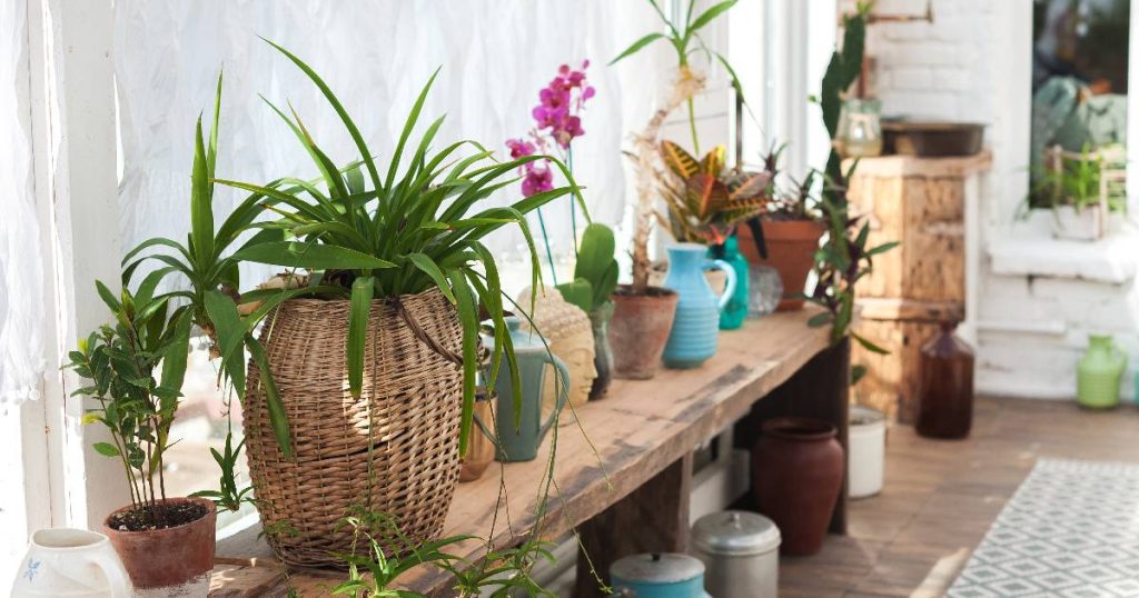 Een landelijke veranda. In de veranda staat een lange, houten bank met verschillende planten. Voor het grote verandaraam hangt een gordijn als zonwering.