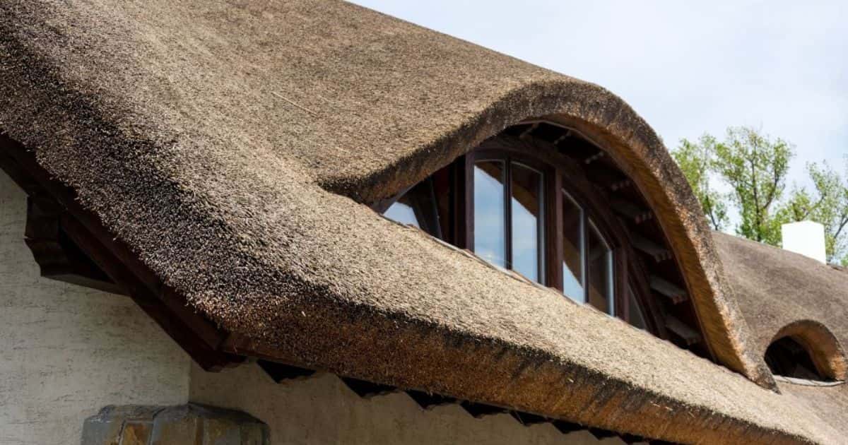 Een gebogen, rond of bol dak bedekt met rieten dakbedekking. Een gebogen raam verschuilt zich onder een rieten dakkapel.