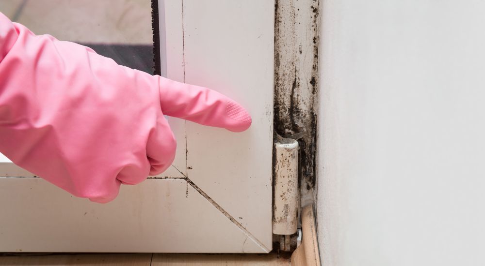 Schimmel raam slaapkamer