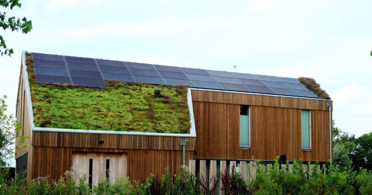 Een sedumdak met zonnepanelen op een vrijstaande woning met houten gevelbekleding en grote raampartijen.