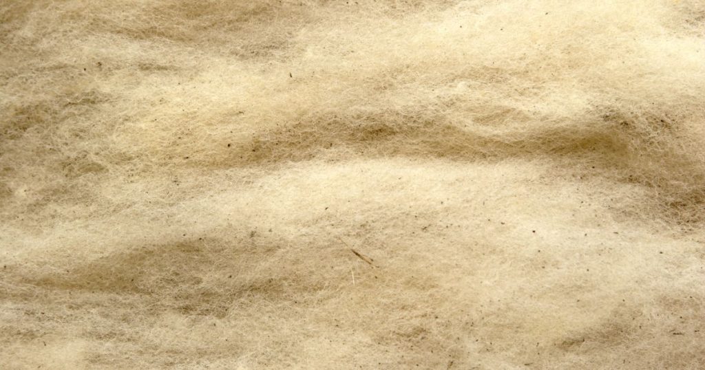 Detailbeeld van schapenwol, één van de ecologische en milieuvriendelijke soorten dakisolatie.
