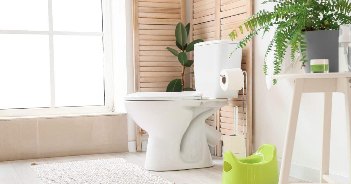 Een toilet in lichte, aardse kleuren. De crème-achtige kleur van de muur gaat perfect samen met het lichte hout en het beige tapijtje. De planten geven de ruimte een extra natuurlijke uitstraling.