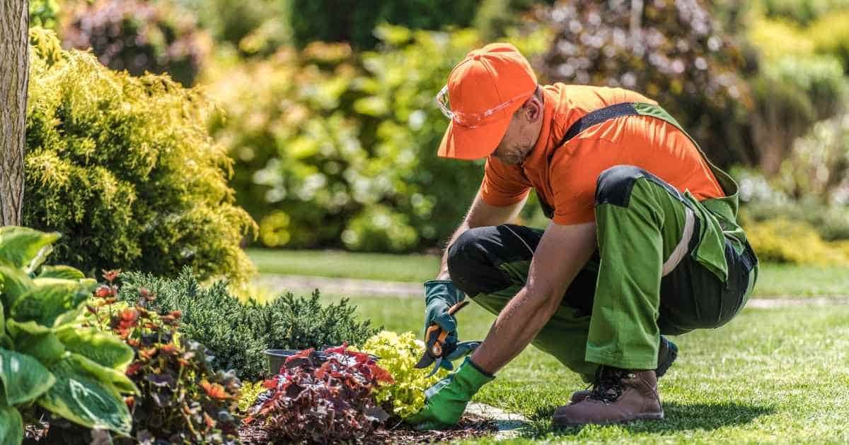 Een tuinman met oranje pet, oranje t-shirt en groene overall onderhoudt de borders in een tuin met een groot gazon. Hij gebruikt een snoeischaar.