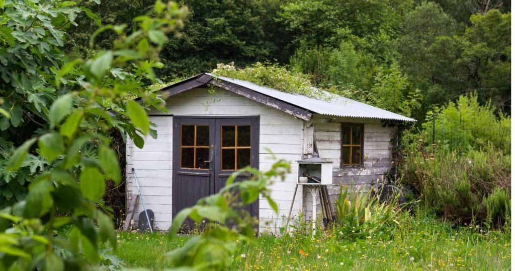 Een ietwat vervallen tuinhuis: op de wanden zijn duidelijke sporen van afbladderende verf. En op het dak grooit gras.