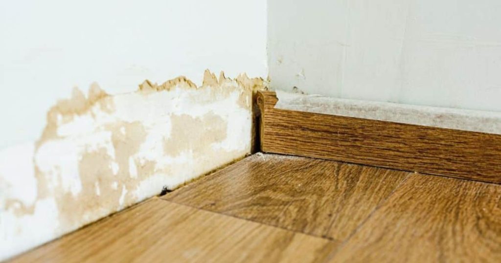 Muur met vochtplekken en schimmel boven een houten vloer