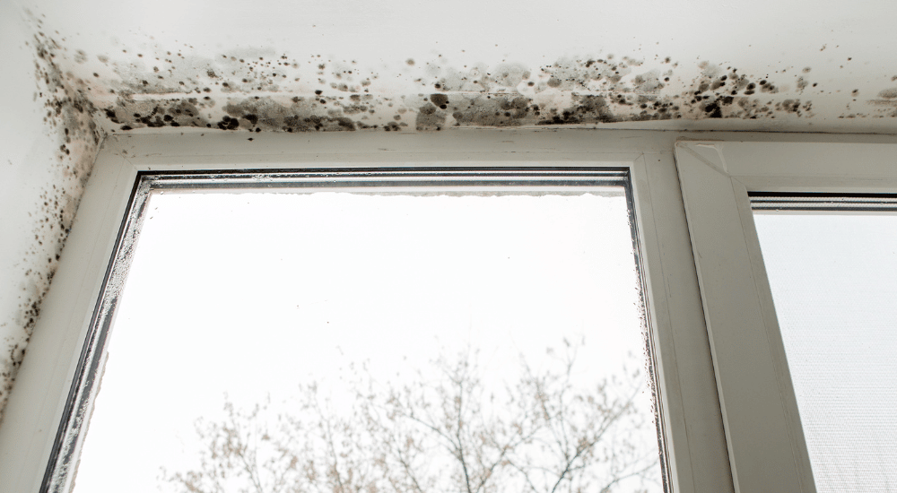 Vocht in binnenmuren behandelen condensatievocht boven een raam 