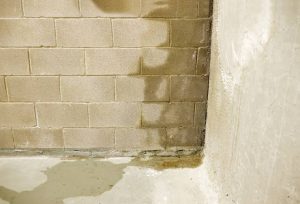 water in kelder muur