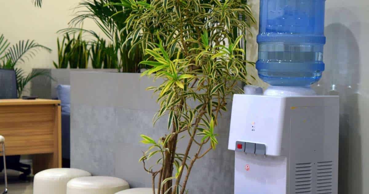 Een klassieke fleswaterkoeler met typische transparante blauwe fles bovenop een staande waterkoeler. De waterdispenser staat in een kantoorruimte of wachtzaal met planten.