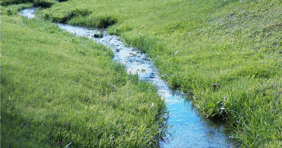 Een greppel of waterloop doorkruist 2 stukken grasland. Ook in het water zelf bevinden zich stukken gras. Het water lijkt te versnellen op bepaalde punten.