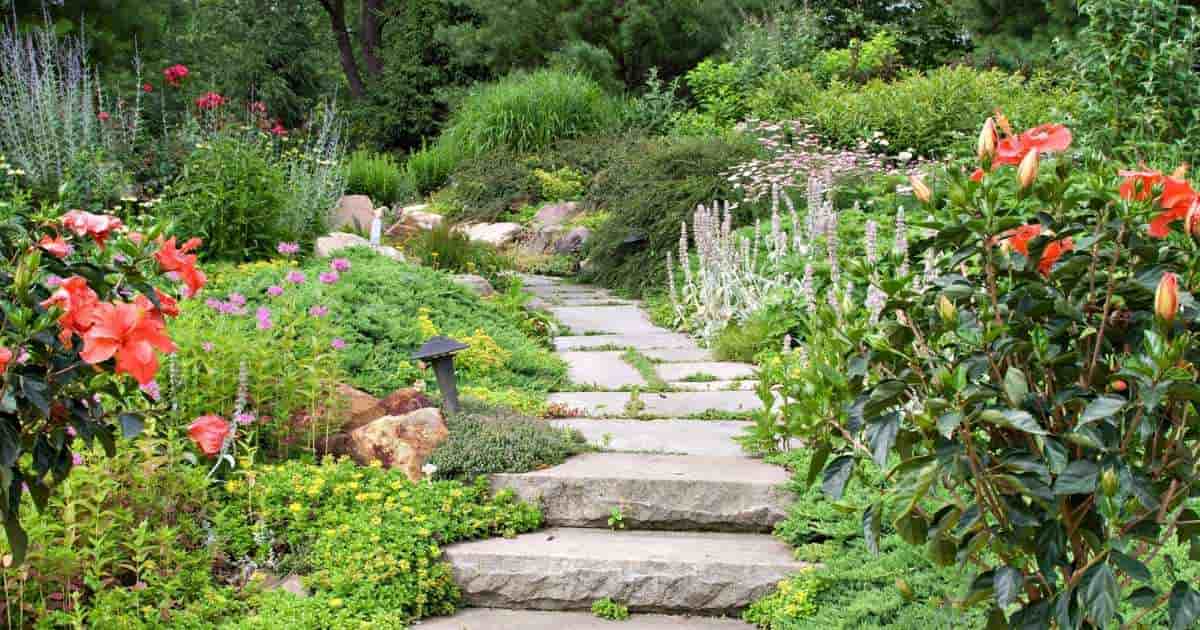 Een weelderige tuin met bloemperken aan weerszijden van een pad met wandelstenen dat uitgeeft op een klein stenen trapje. Op de achtergrond meer perken en bomen.