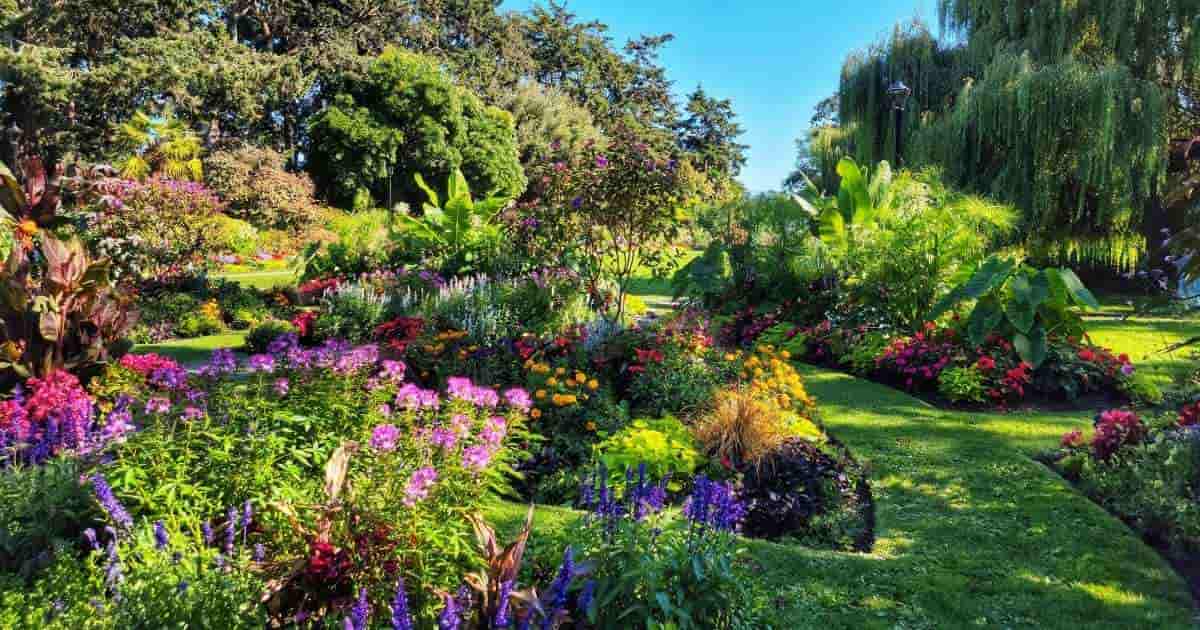 Een weelderige tuin met bloemperken met daartussen kort gemaaid gras. Achter de perken en het gazon staan hoge bomen, waaronder een grote treurwilg.